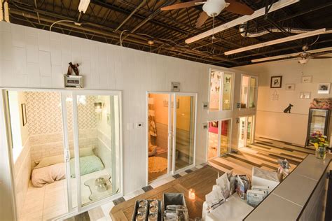 luxe pet hotels
